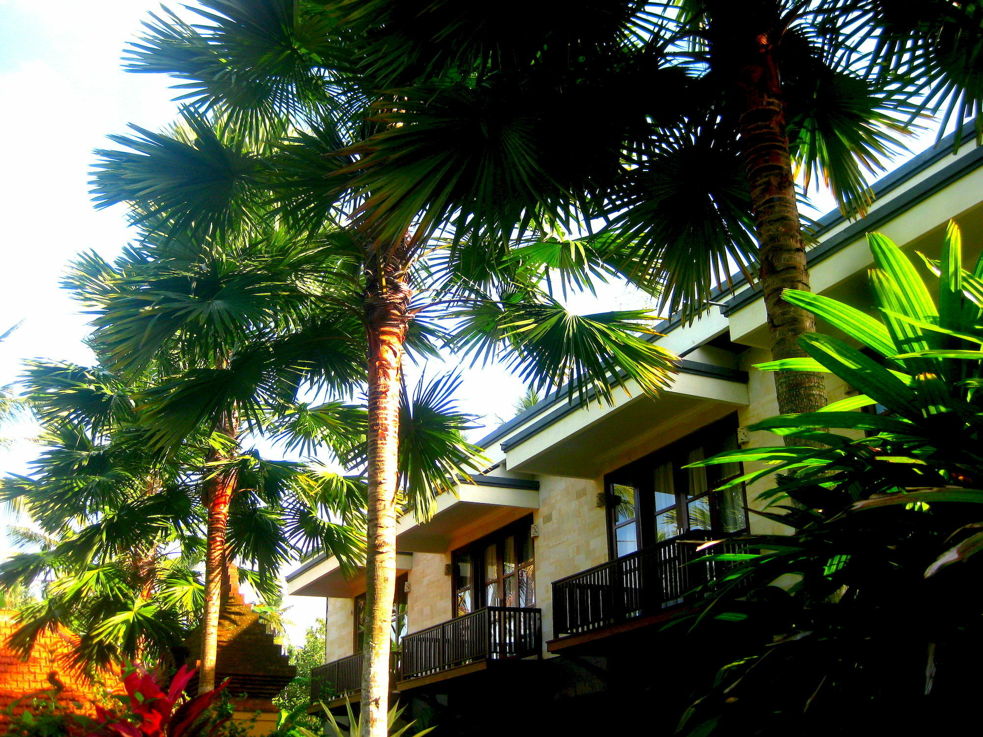 Villa Sonia Bisma Ubud Zewnętrze zdjęcie
